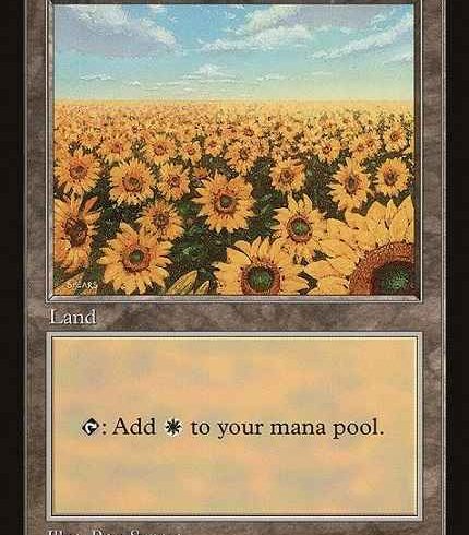 10/6　MTG　在庫補充リスト♫