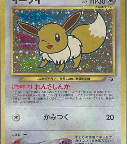 【引退品】ポケモンカード旧裏5~600枚/プロモカード