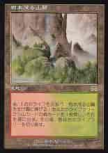 7/17　MTG　在庫補充リスト♫