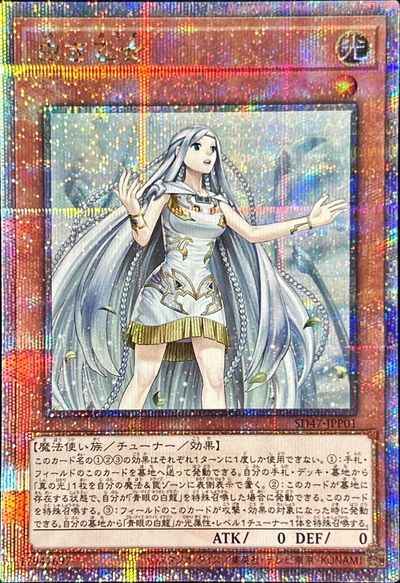 遊戯王　竜王　ドラゴンメイド　メイン40枚＋EX15枚　本格構築 Amazon.co.jp: 遊戯王 本格構築 ドラゴンメイド デッキ メイン40
