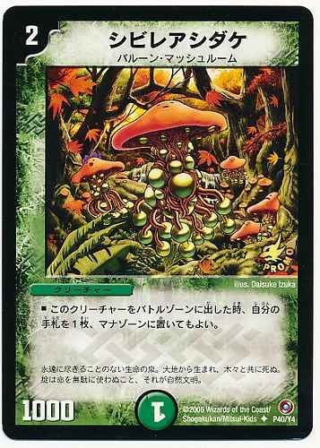 シビレアシダケ