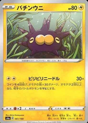 バチンウニ(ミラー)