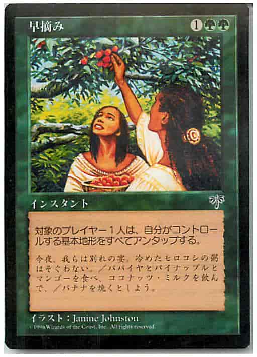 早摘み