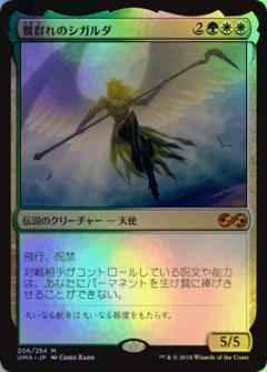 鷺群れのシガルダ