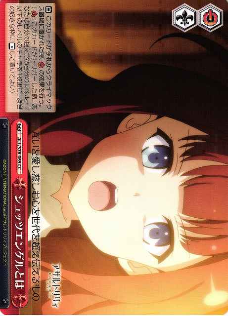 シュッツエンゲルとは