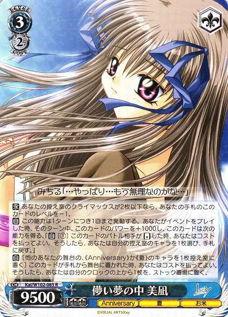 儚い夢の中 美凪