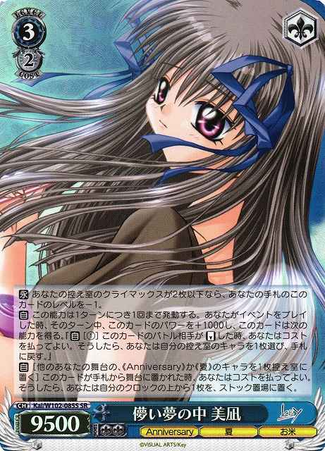 儚い夢の中 美凪
