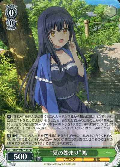“夏の始まり”鴎