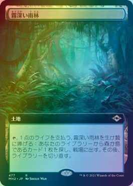 霧深い雨林(拡張)