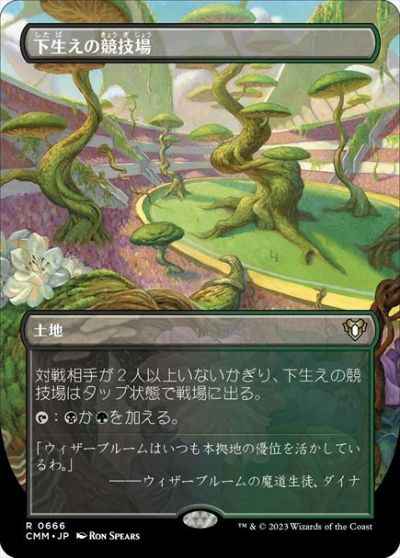 下生えの競技場(ボーダーレス)