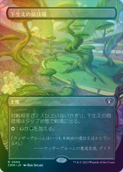 下生えの競技場(ボーダーレス)