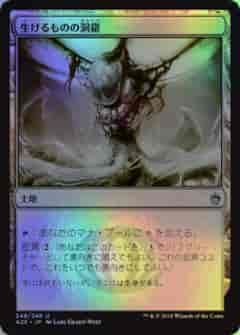 生けるものの洞窟