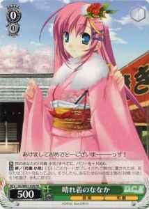 晴れ着のななか
