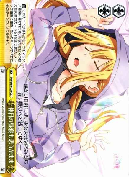 休日の昼寝も思うがまま