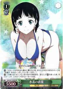 水着の直葉