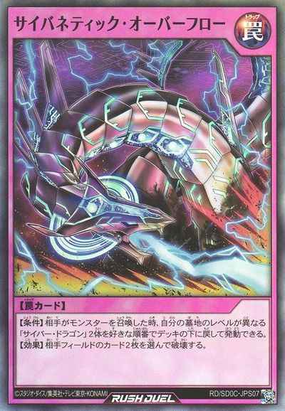 サイバネティック・オーバーフロー