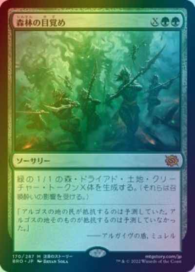 森林の目覚め