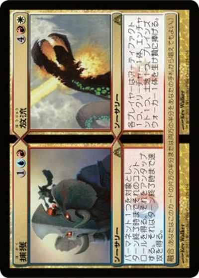 捕獲 + 放流