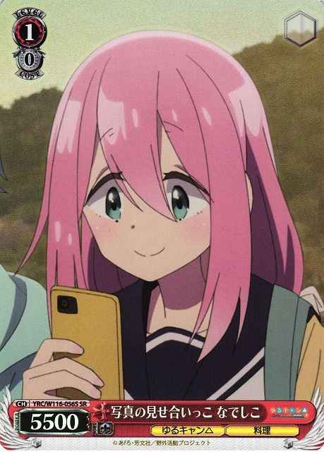 写真の見せ合いっこ なでしこ
