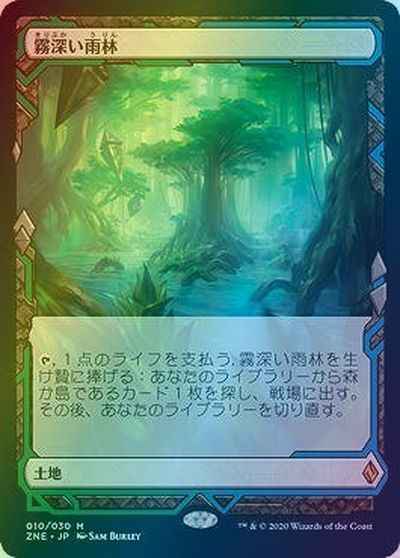 霧深い雨林