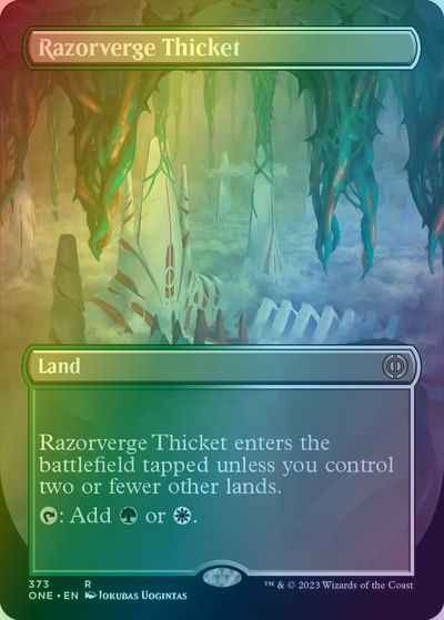 剃刀境の茂み(ボーダーレス)