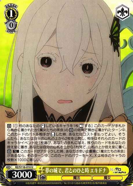 夢の城で、君とのひと時 エキドナ