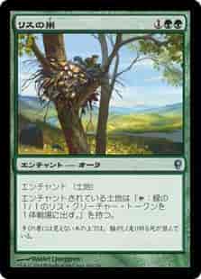 リスの巣