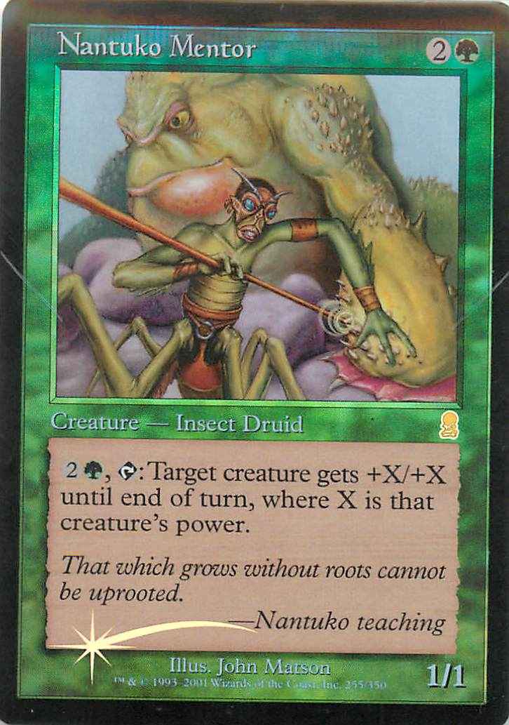 ナントゥーコの導師