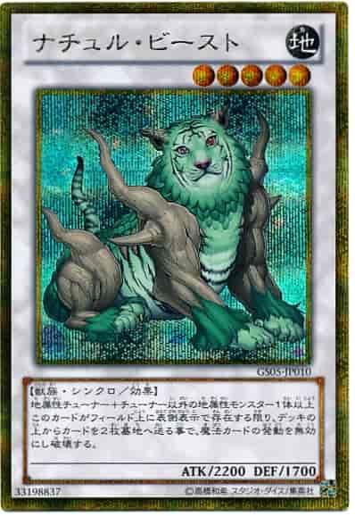 遊戯王】 ゴールドシリーズ GOLD SERIES 2013(GS05)｜トレカの
