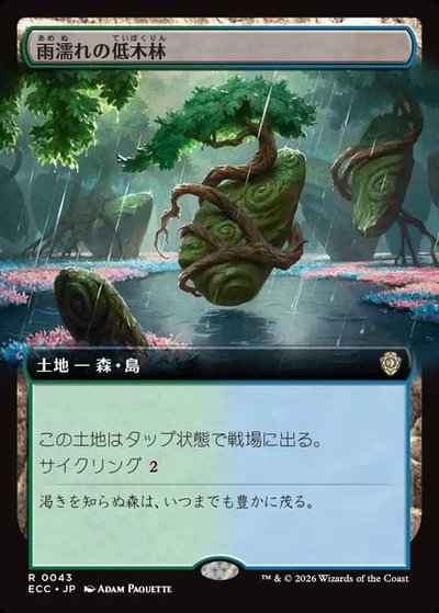 雨濡れの低木林(拡張)