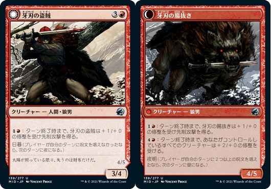 牙刃の盗賊
