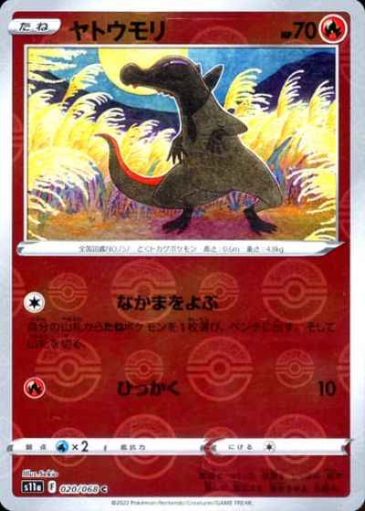 ヤトウモリ(ミラー)