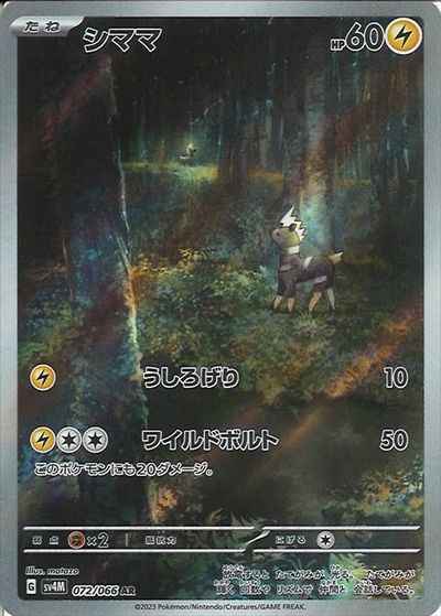 シママ