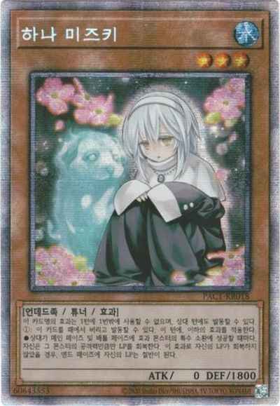 儚無みずき 韓国語版 PAC1-KR018 ...