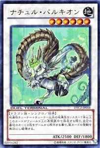 ナチュル・パルキオン
