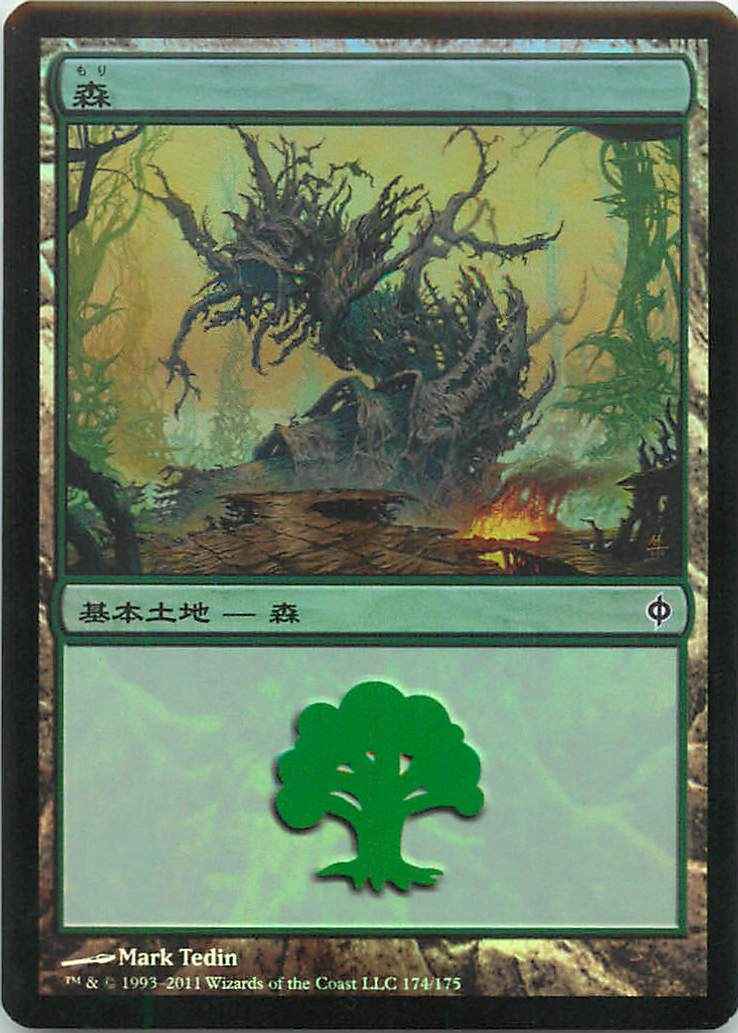 森