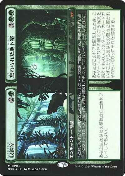 収納室+忘れられた地下室