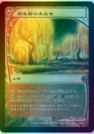 燃え柳の木立ち