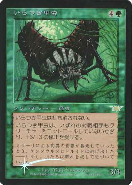 いらつき甲虫
