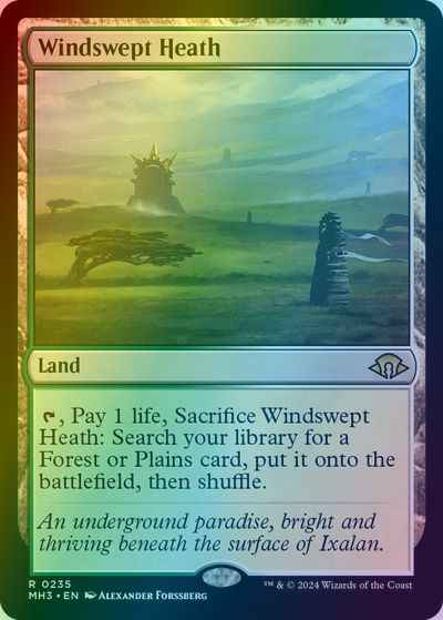 吹きさらしの荒野