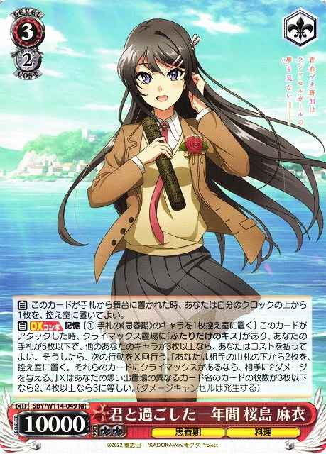君と過ごした一年間 桜島 麻衣