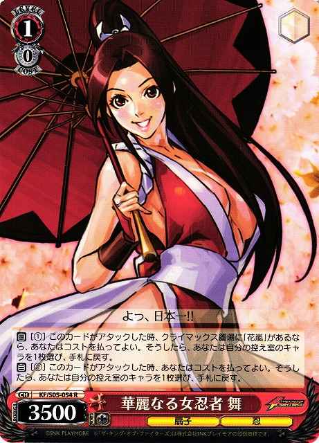 華麗なる女忍者 舞