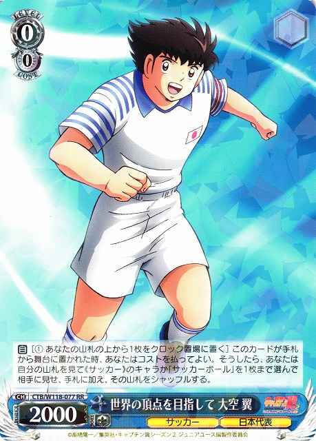 世界の頂点を目指して 大空 翼