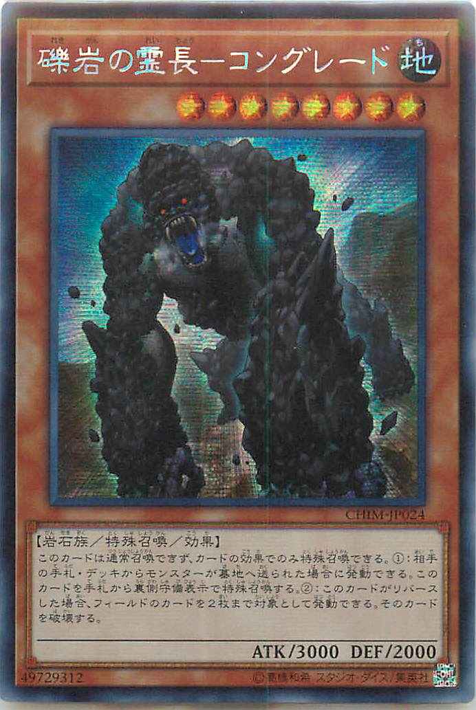 礫岩の霊長－コングレード アジア...