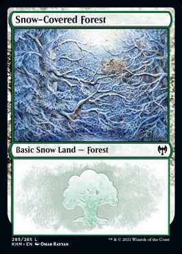 冠雪の森