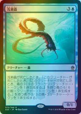 浅瀬蟲