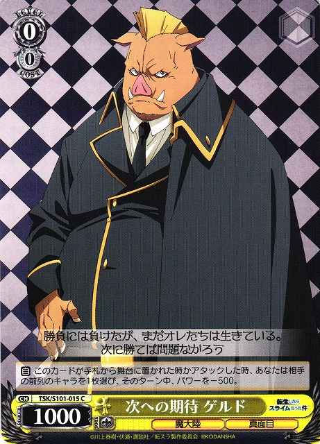 次への期待 ゲルド