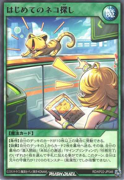 はじめてのネコ探し