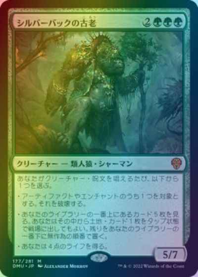 シルバーバックの古老