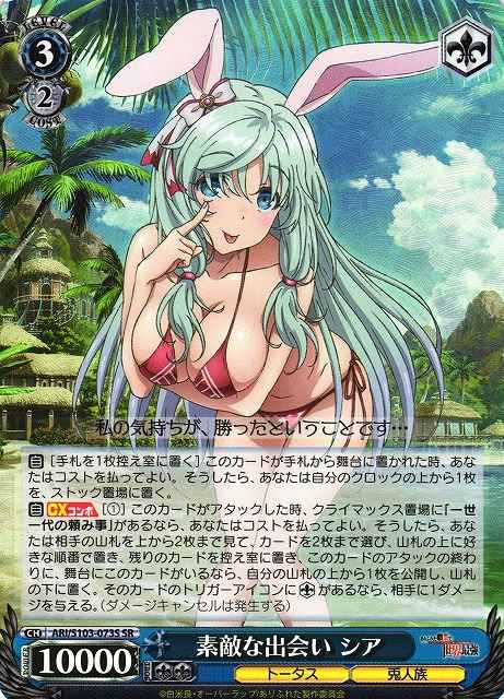 素敵な出会い シア